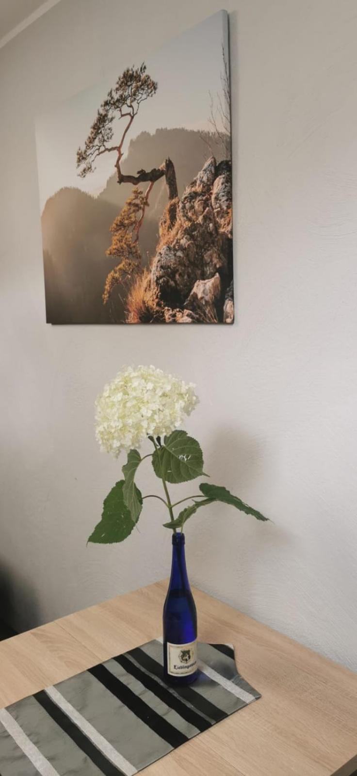 Apartamenty Hejszowina Kudowa-Zdrój Zewnętrze zdjęcie
