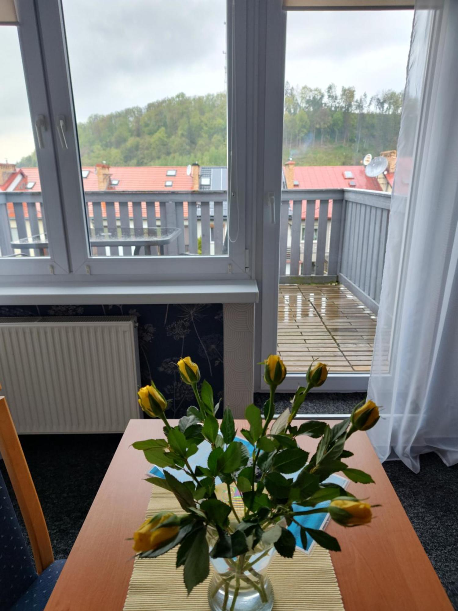 Apartamenty Hejszowina Kudowa-Zdrój Zewnętrze zdjęcie