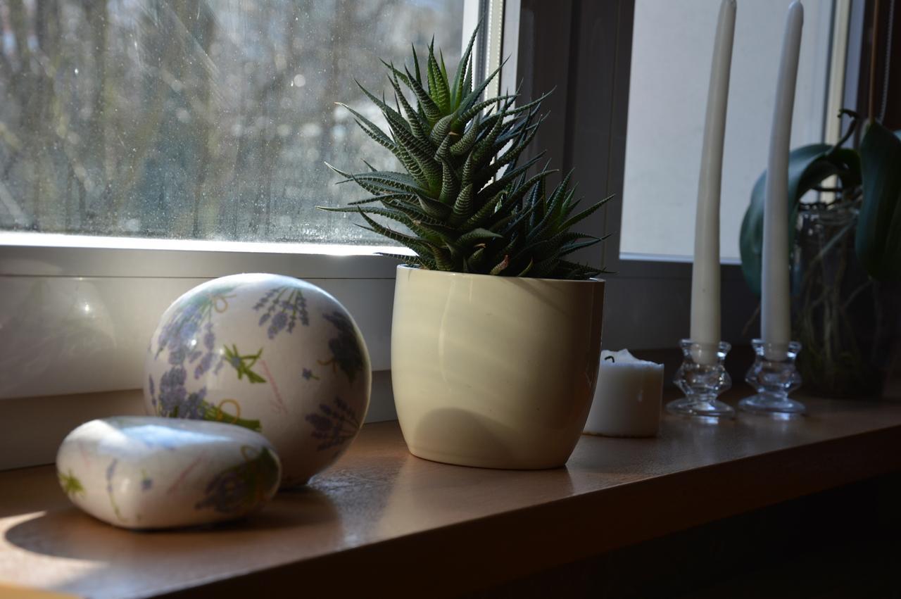 Apartamenty Hejszowina Kudowa-Zdrój Zewnętrze zdjęcie